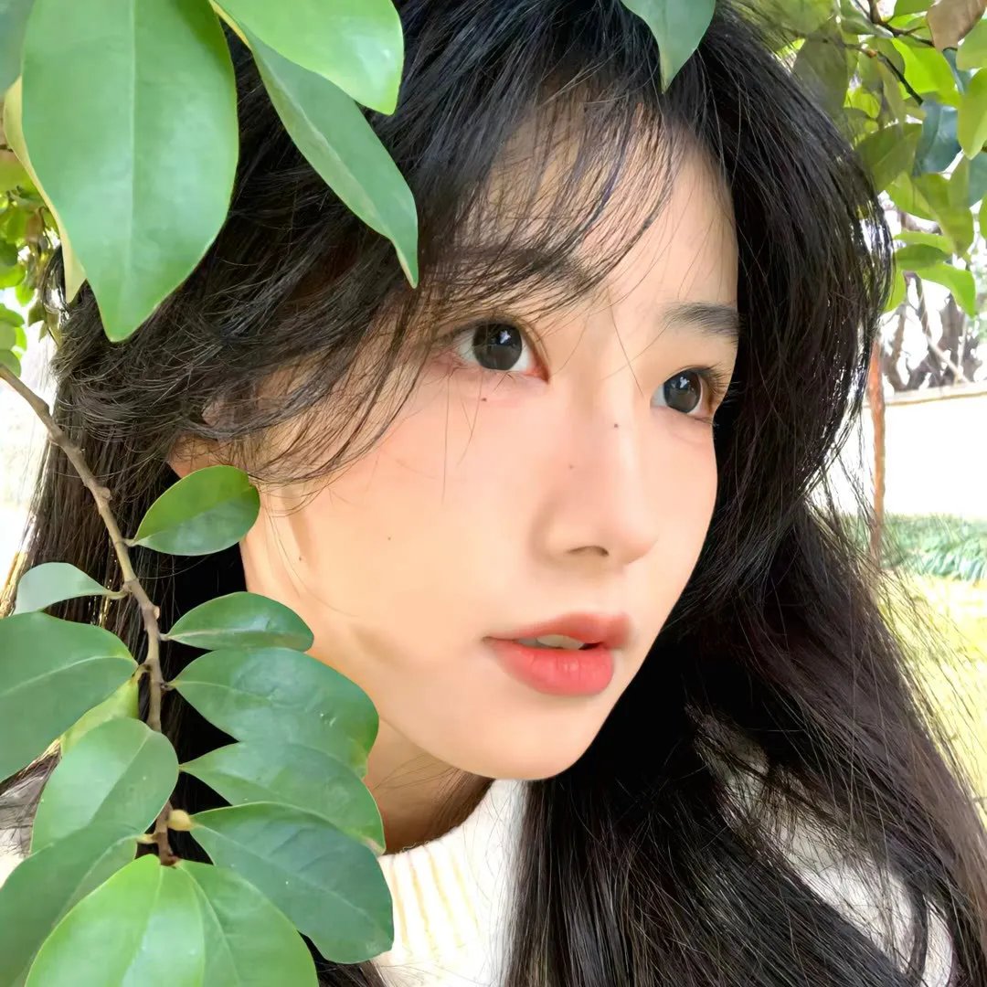 纯情罗曼史第二季